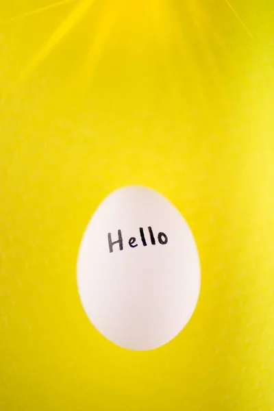 Uovo di pollo bianco con iscrizione nera ciao su sfondo giallo . — Foto Stock