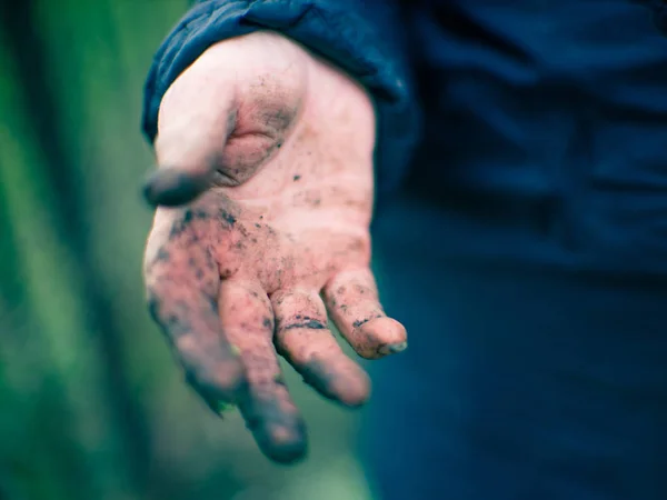 Bahçe çalışması ndan sonra kirli eller — Stok fotoğraf