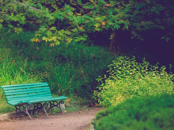 Старая скамейка в парке синяя среди чудесных растений — стоковое фото