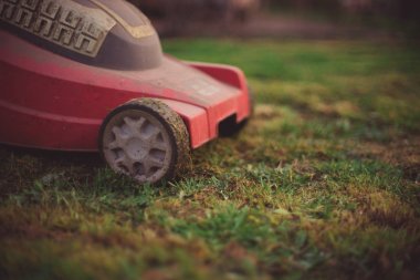 Tekerlekler üzerinde kırmızı çim biçme makinesi bir çim üzerinde duruyor