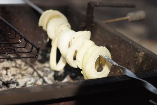 Rondelles d'oignon tranchées crues sur brochette — Photo