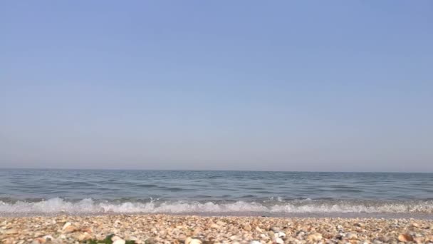 Azov Meer Sandstrand Mit Muscheln Und Kleinen Wellen — Stockvideo