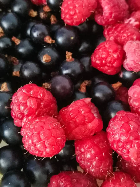 Fondo natural frambuesa y grosella negra —  Fotos de Stock