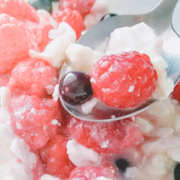 Quark mit Himbeeren und schwarzen Johannisbeeren — Stockfoto