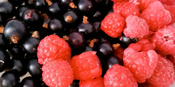 Natural background raspberry and black currant — Stock Photo, Image