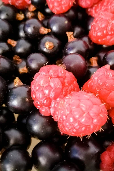 Natural background raspberry and black currant — Stock Photo, Image