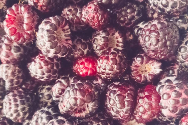 Framboos BlackBerry rijpe bessen smakelijke achtergrond close-up — Stockfoto