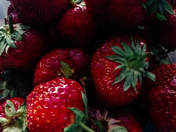 Hintergrund reiche rote große Erdbeere aus nächster Nähe — Stockfoto