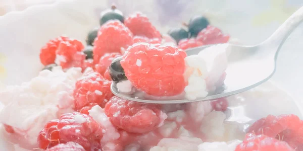 Quark mit Himbeeren und schwarzen Johannisbeeren — Stockfoto