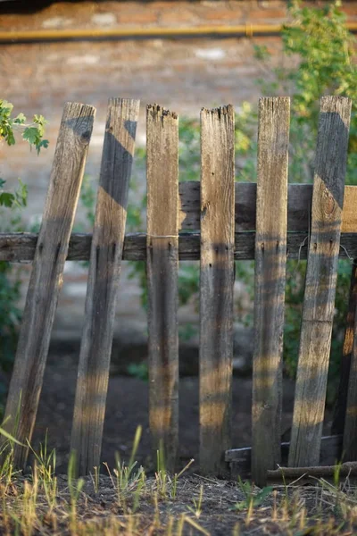 夏季乡村院子里的旧木栅栏. — 图库照片