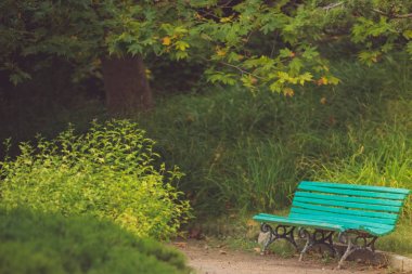 harikulade bitkiler arasında eski park bank mavi