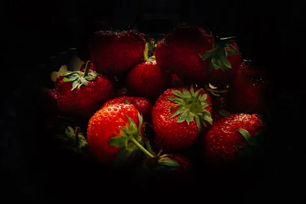 Stora jordgubbar i en tallrik med blå kant. — Stockfoto