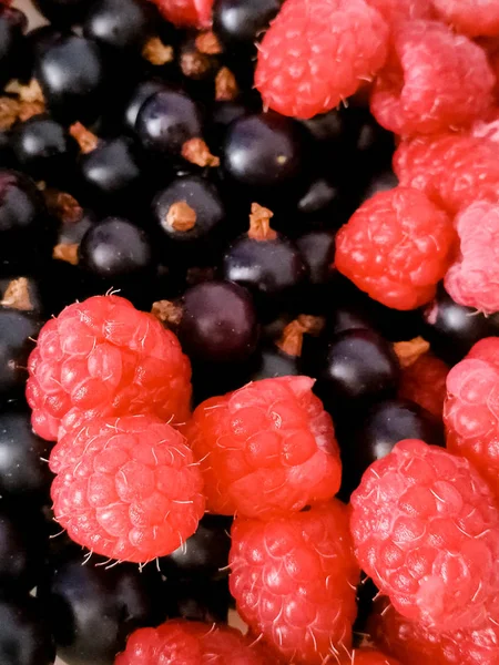 Natuurlijke achtergrond met framboos en zwarte bes — Stockfoto