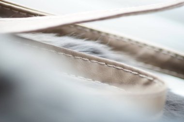 Dikiş ipliği ile hakiki deriden yapılmış bej ince kavisli kayış, arka plan için yakın çekim