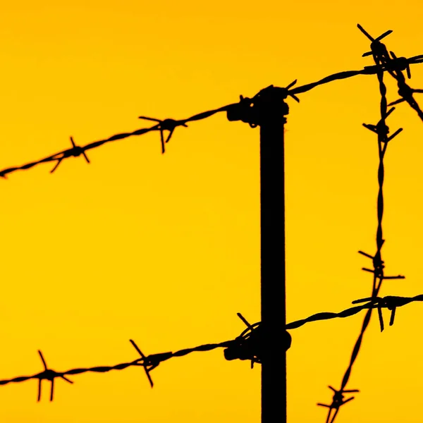 silhouette of a fence of barbed wire on an sky background.