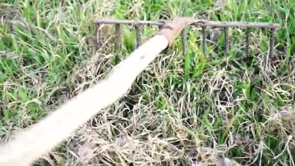 Raking Dry Grass Garden Rake Tool Work View Closeup — Stock Video