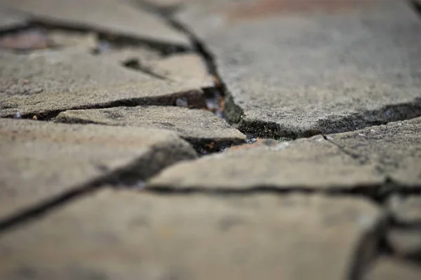 천연 야생 돌로 만든 도로 표면 — 스톡 사진