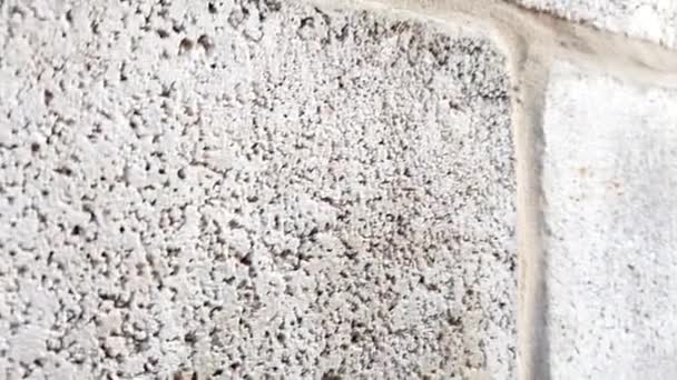 Ancien Mur Bloc Cendres Examen Près — Video