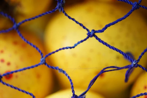 blue mesh bag, macro, selective focus, ripe yellower apples in blur inside.