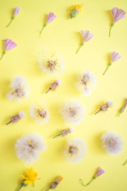 farklı yabani çiçek tomurcukları sarı kağıt, üst görünüm, çiçek desen üzerinde satır lar halinde yalan