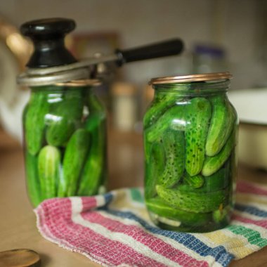 Rus kırsallitre kavanozsalatalık turşu süreci