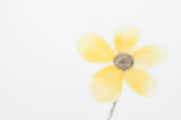 Fundo amarelo desfocado pintado flor em papel branco com espaço de cópia . — Fotografia de Stock