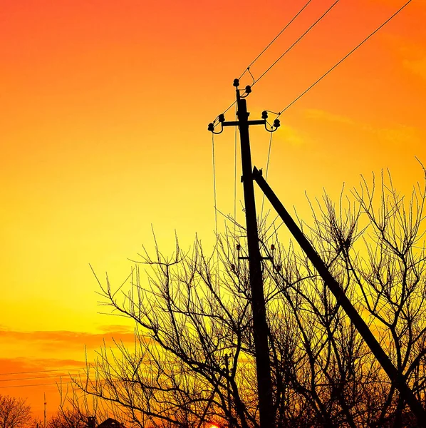 Silhouette di un pilastro elettrico e di un albero nel cielo giallo arancione . — Foto Stock