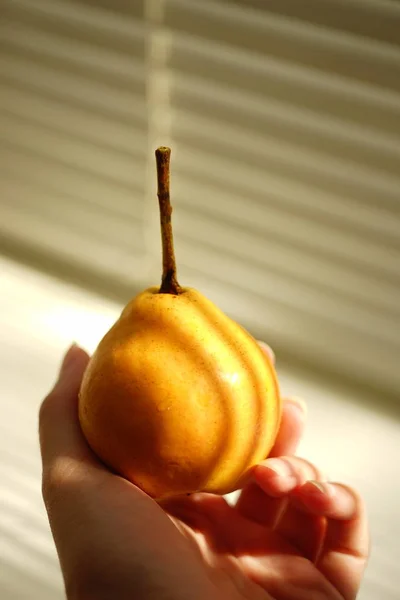 女性の手の黄色の熟した梨. — ストック写真
