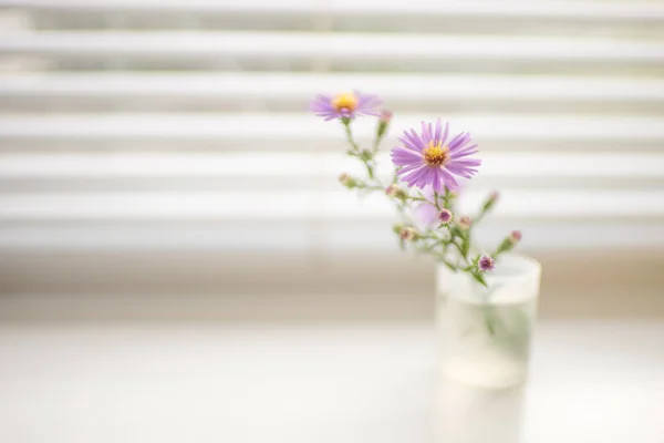 Delikatne małe fioletowe kwiaty w małym wazonie na białym zamglonym parapecie — Zdjęcie stockowe
