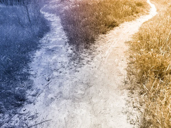 La bifurcación de un camino en un campo. Dos maneras con diferentes colores. Concepto de elección . —  Fotos de Stock