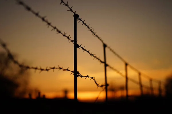 Schwarze Silhouette eines Stacheldrahtzauns in orangefarbenem Sonnenuntergang — Stockfoto