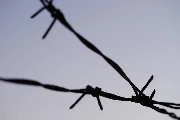 Černá silueta ostnatého drátu plot detailní up na večerní modré obloze. — Stock fotografie