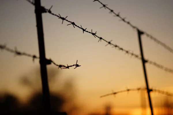 Black silhouette of a torn barbed wire fence at sunset — Stock Photo, Image