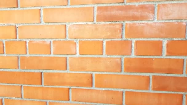Rote Backsteinmauer Frontansicht Nahaufnahme — Stockvideo
