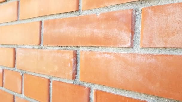 Red Brick Wall Closeup Review Perspective View — Stock Video