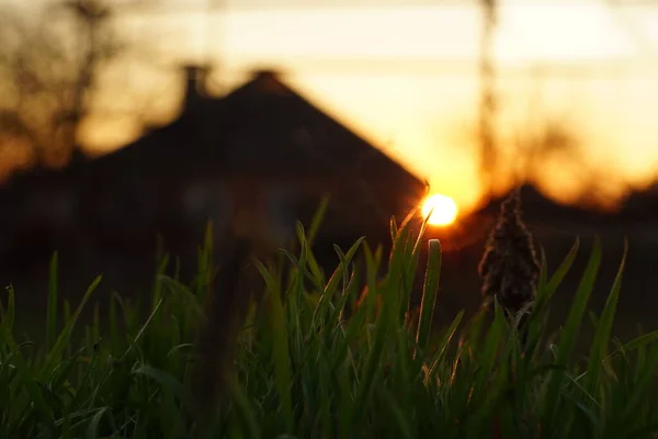 夕阳西下的圆圆的太阳映衬着村舍的轮廓. — 图库照片