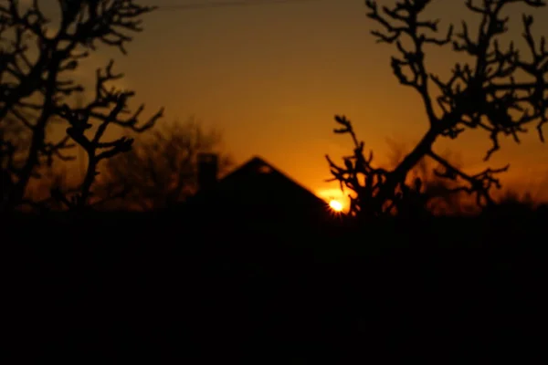 Atardecer paisaje en el pueblo. Sol redondo con rayos sobre el techo de la casa alrededor del cielo naranja. Siluetas negras con ramas de árbol y casa —  Fotos de Stock