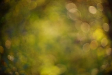 Yeşil ve altın renkli renkli arka plan, bokeh etkisi. Sihirli peri krallığı peri ormanında.