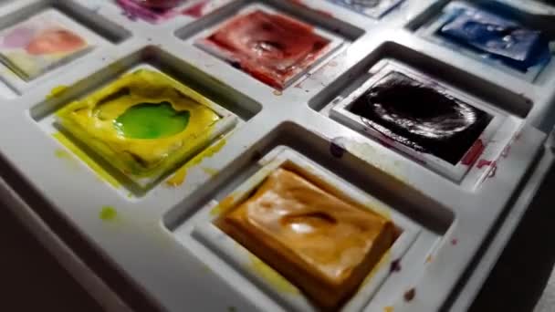 Set Used Watercolor Paint White Case Macro View — Stock Video