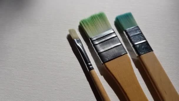 Three Fleitz Brushes Painting White Sketchbook — Stock Video
