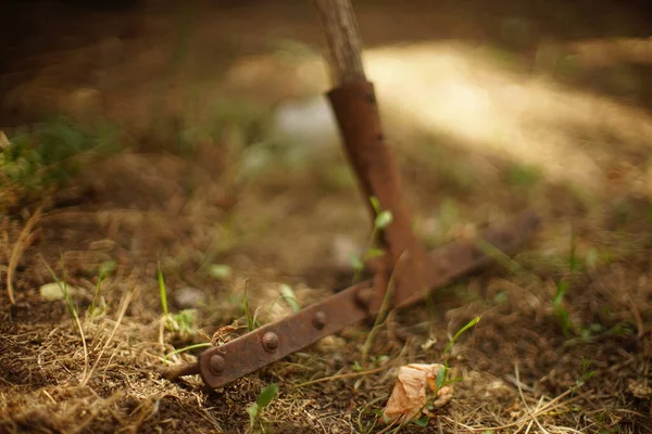 녹슨래크 도구가 정원에 — 스톡 사진