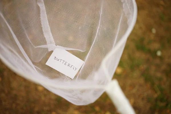White butterfly net and a piece of paper with the text butterfly inside. Hobby in nature.