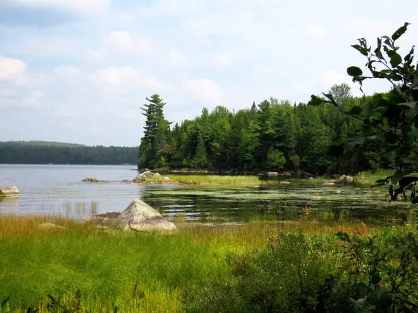 Göl kıyısı güzel ve güneşli bir günde ülkede