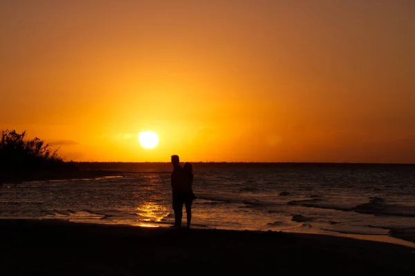 Gün batımında sahilde yürüyen bir çiftin silueti.