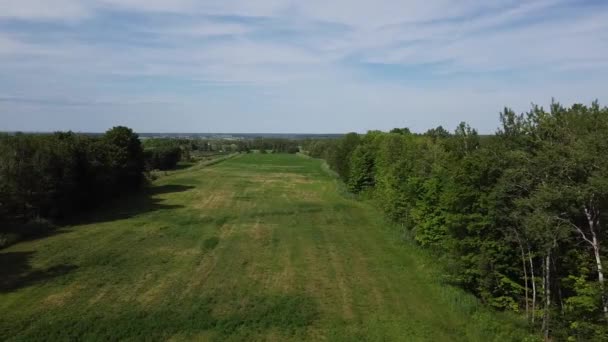 Flygpassage från höger till vänster på ett fält i landet. — Stockvideo