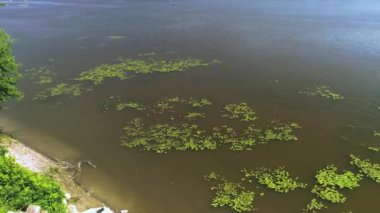 Sudaki bir grup Kanada kazının üzerinde uçuyorlar.