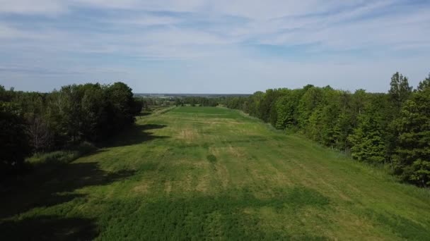 Flygfoto över ett fält i landet, flyger ner och bakåt — Stockvideo