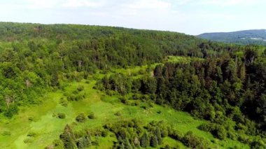 Ağaçlı ve dağlı güzel manzaranın havadan görünüşü
