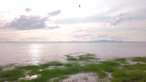 Aerial view of a pink colored sunset over the calm water — Stock Video