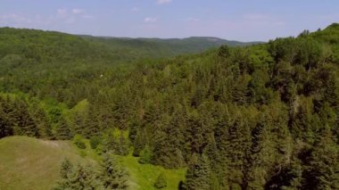 Hava manzarası manzarayı ve ormandaki nehri gösteriyor.